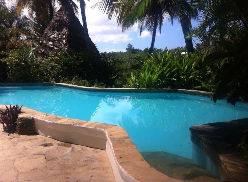 Swimming pool Hotel Cabarete Surfcamp