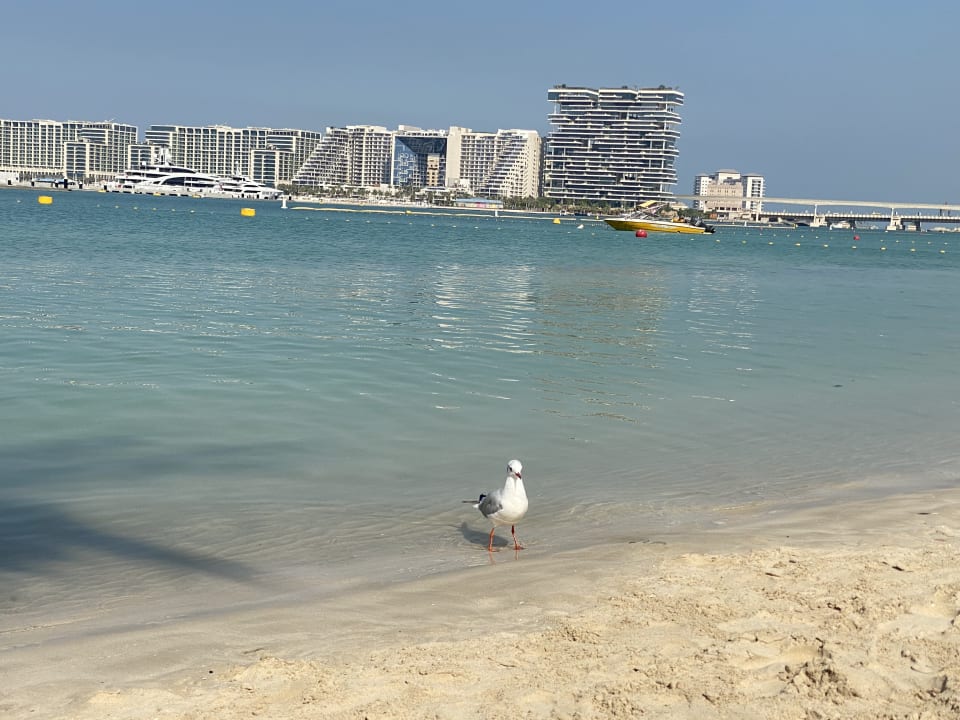 Strand Le Meridien Mina Seyahi Beach Resort & Waterpark