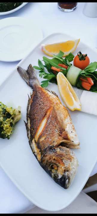 Sonstiges Sealife Family Resort Hotel