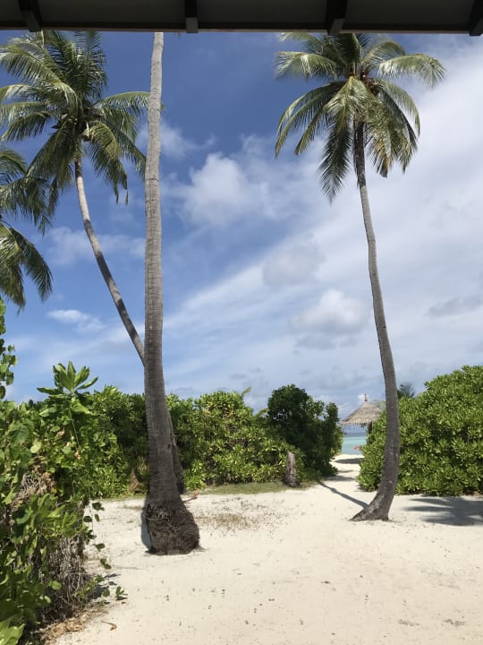 Zimmer NH Collection Maldives Havodda Resort