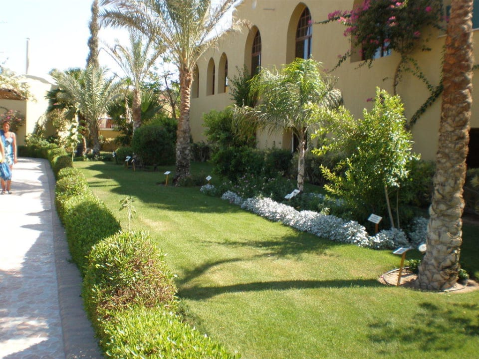 Restaurant von Außen Jaz Makadi Gardens - TUI BLUE Makadi Gardens - Adults Friendly 16 Years Plus