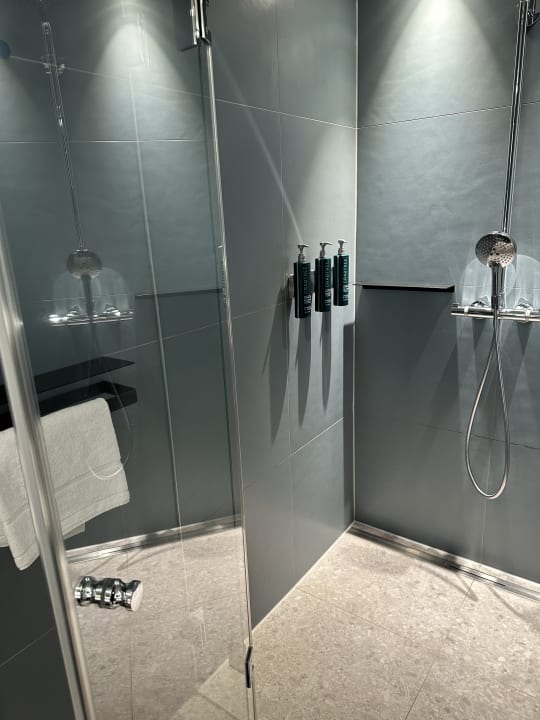 Zimmer Hilton Garden Inn Mannheim