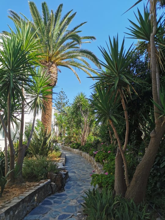Gartenanlage HARPIN Happy Days Beach Hotel