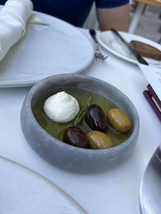 Gastro Acanthus Cennet Barut Collection