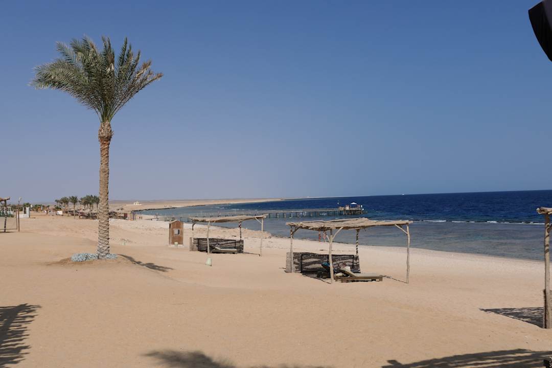 Strand Steigenberger Resort Alaya Marsa Alam - Red Sea - Adults only