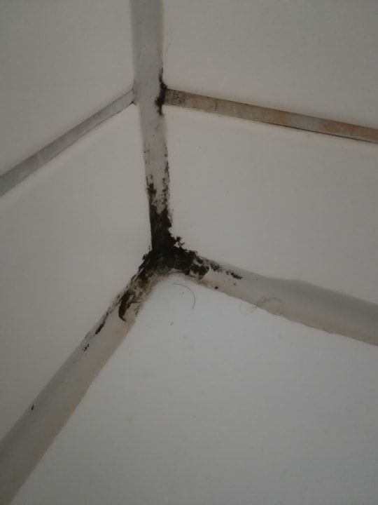 Zimmer Wyndham Garden Lahnstein Koblenz Hotel