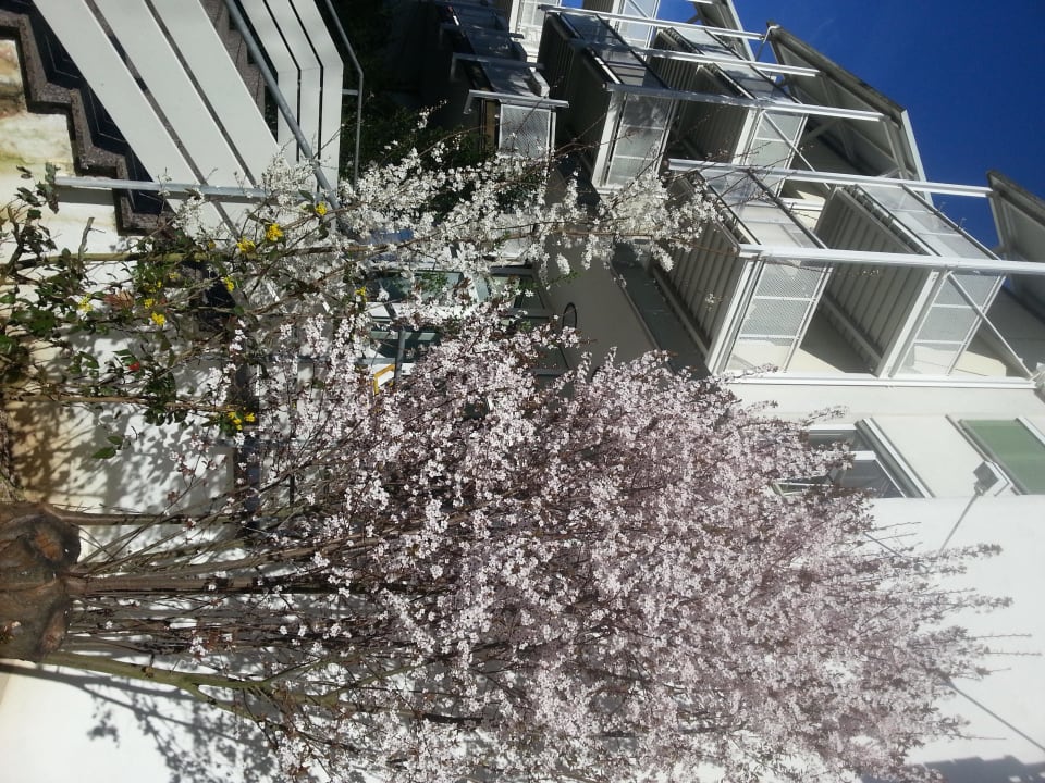 Der Frühling hält Einzug Vitalhotel König am Park