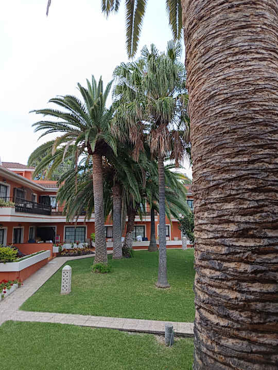 Gartenanlage Apartments Ambassador