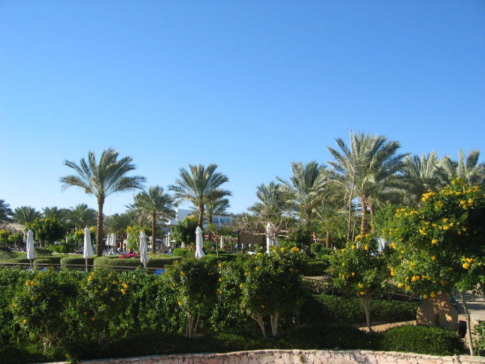 Hotelgarten JAZ Fanara Resort