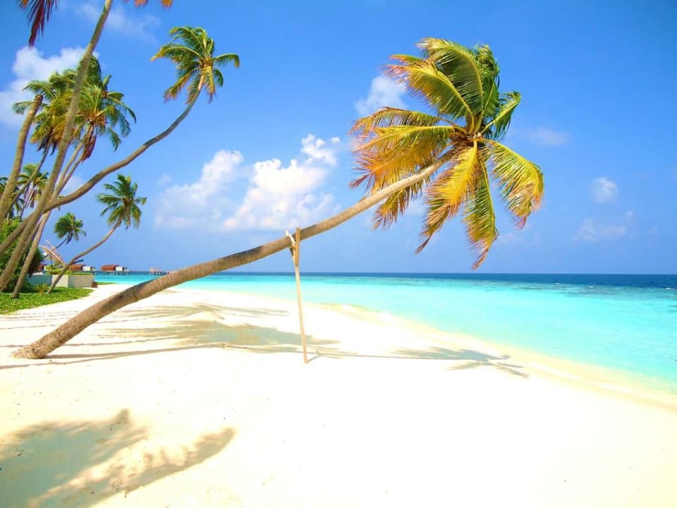 Strand Alila Villa Park Hyatt Maldives Hadahaa