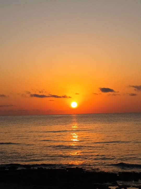Ausblick Hotel Mariant Park
