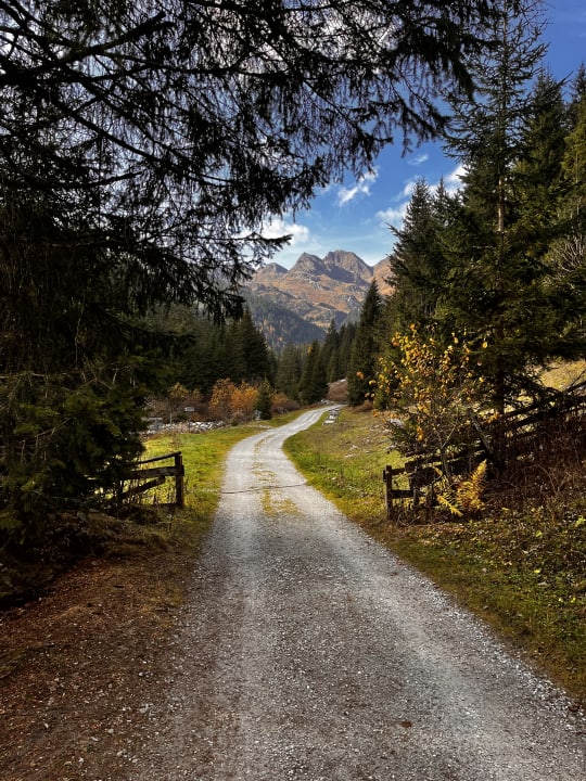 Ausblick Alphotel Tyrol