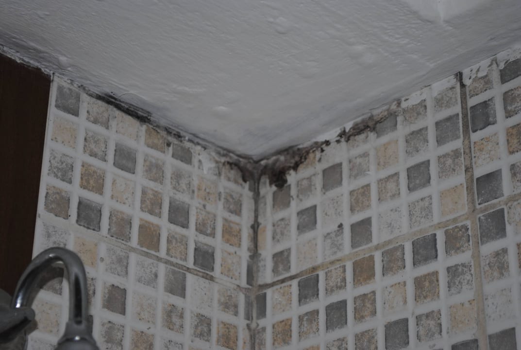 Schimmel überall  Grand Yazici Club Marmaris Palace