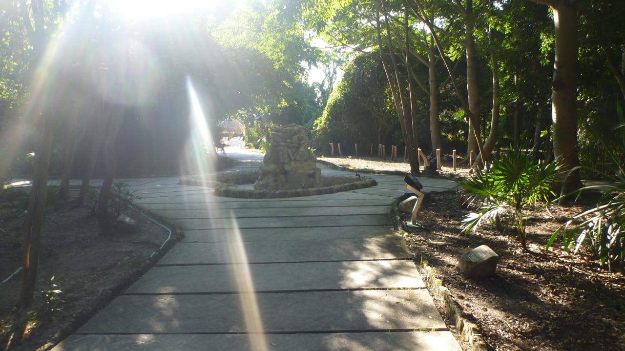 Botanischer Garten zwischen Zimmer und Pool Grand Sirenis Riviera Maya Resort & Spa