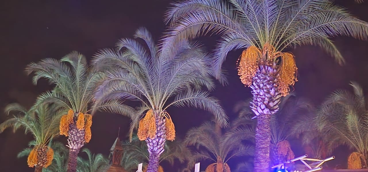 Gartenanlage Sunis Kumköy Beach Resort Hotel & Spa