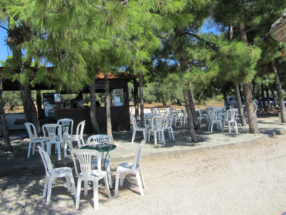 Kleine Strandbar - einfach herrlich Blue Dolphin Resort Hotel