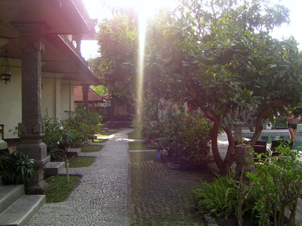 Morgenstimmung Hotel Bumas