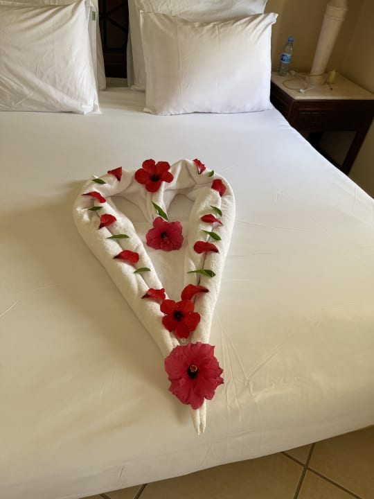 Zimmer Iberotel Makadi Beach