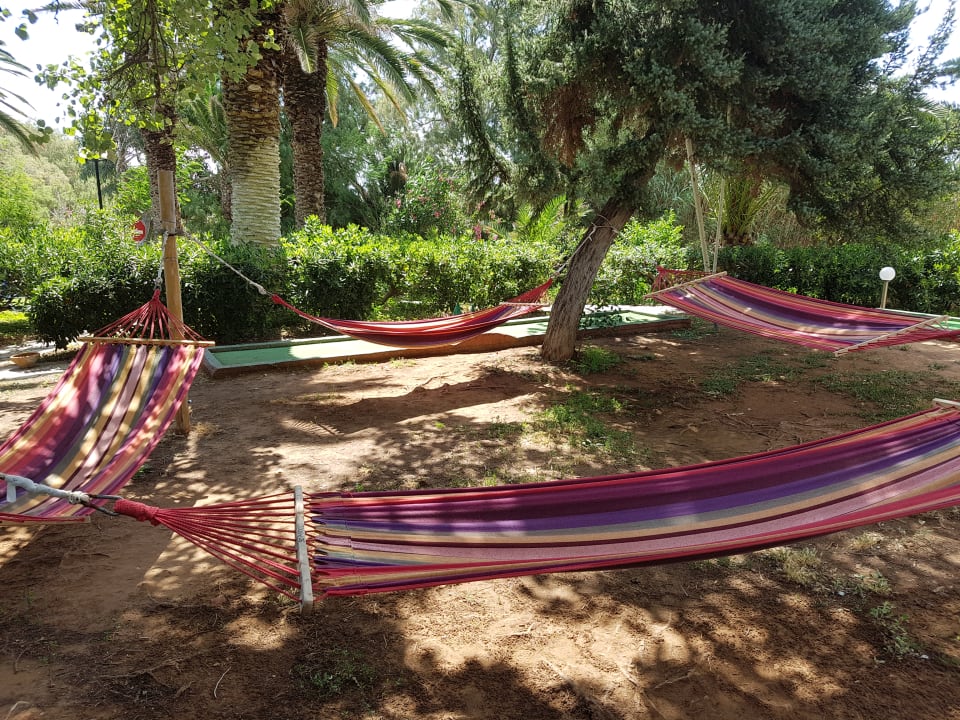 Gartenanlage Apollonia Beach Resort & Spa