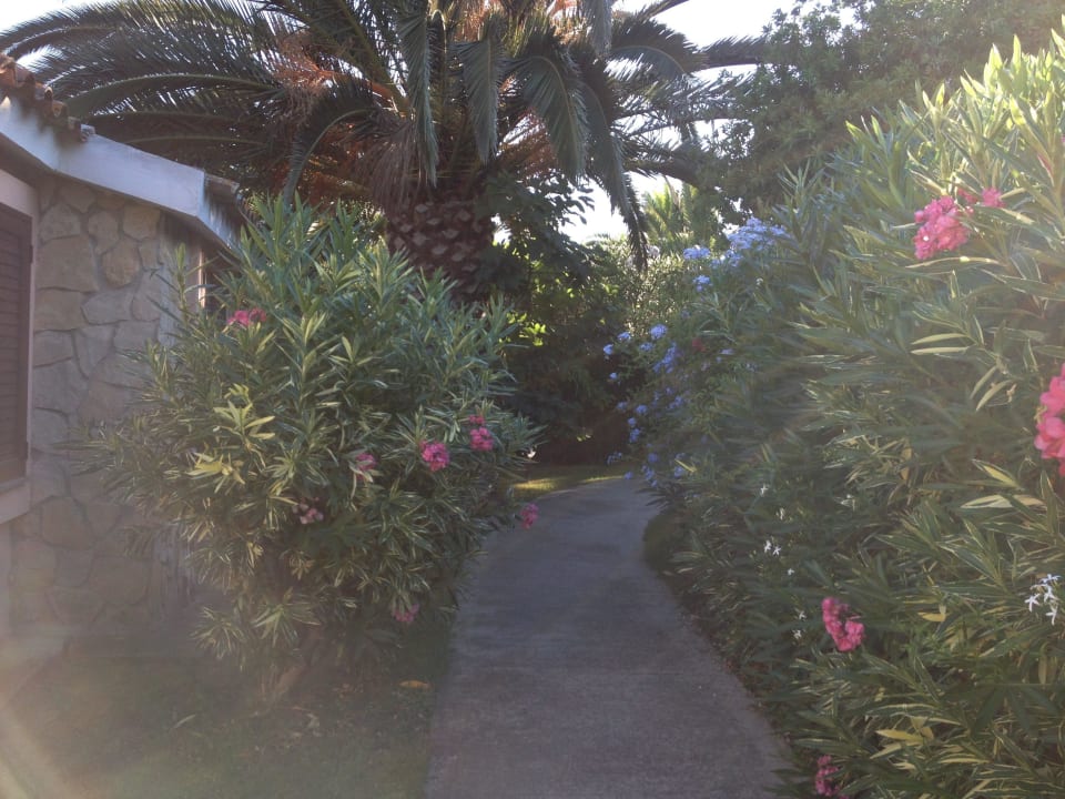 Garten Hotel Green Village Resort