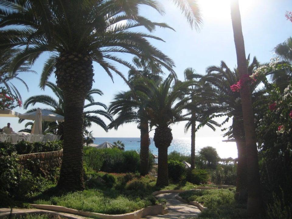 Gartenanlage Hotel Nissi Beach Resort