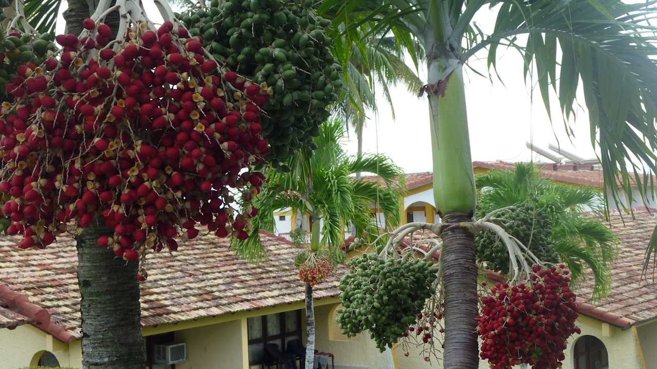 Nicht zum Essen Hotel Porto Santo