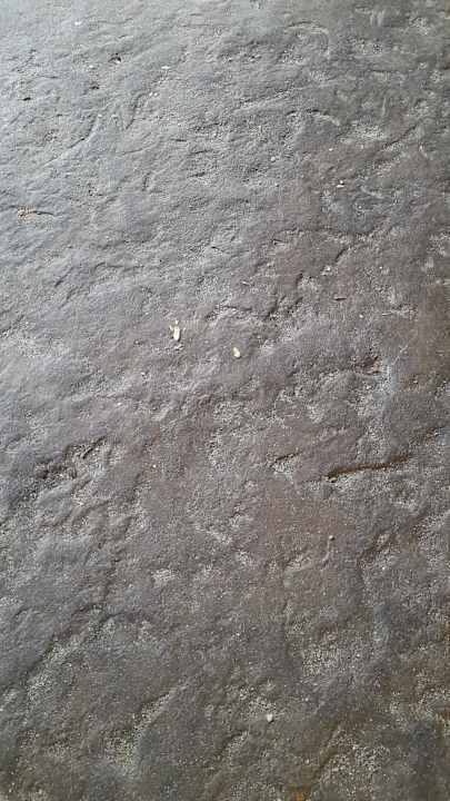 Gastro Hotel Borjana