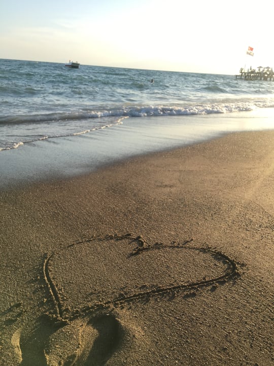 Strand Sherwood Exclusive Lara