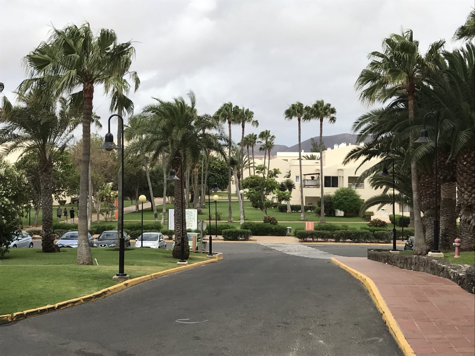 Bungalows Hotel Riu Oliva Beach - Hotel