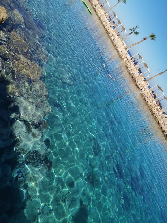 Strand Pickalbatros Citadel Resort