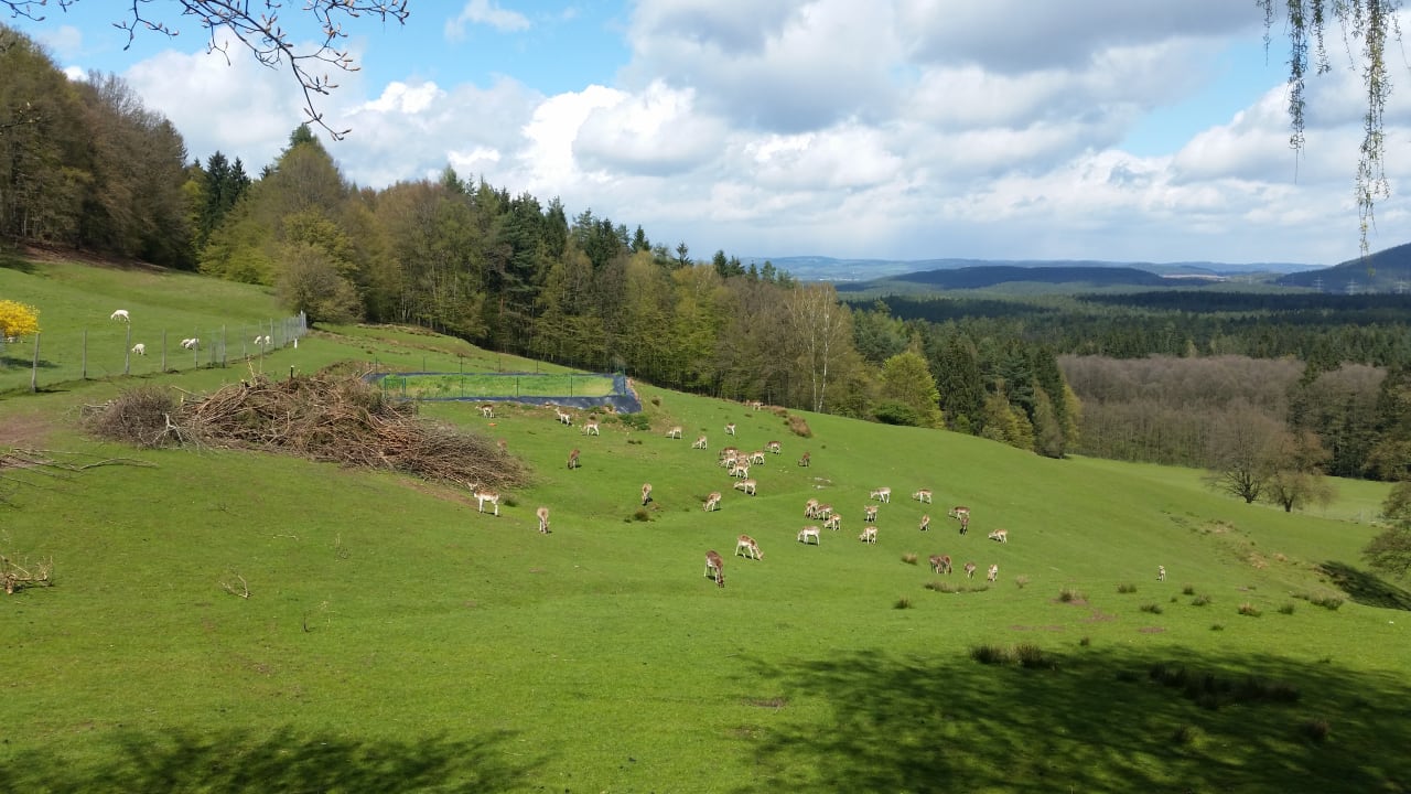 Ausblick Ferienhäuser zur Schäferei