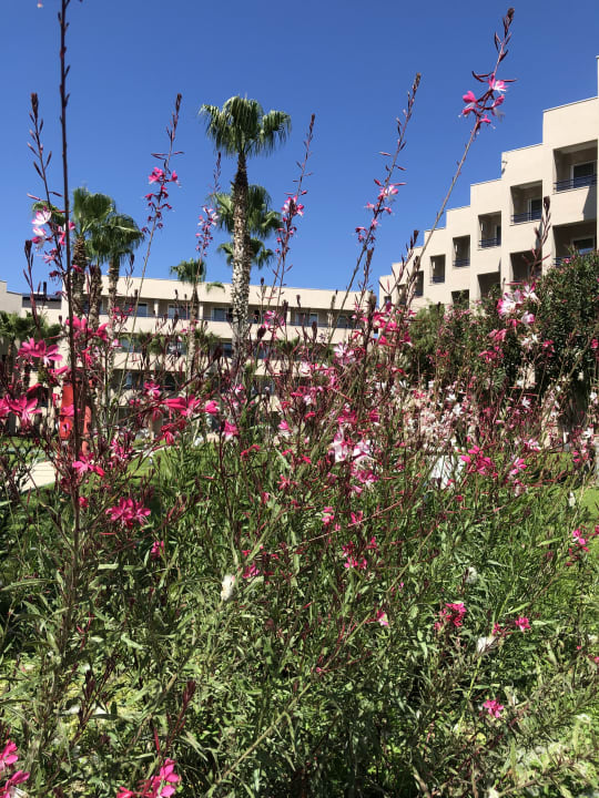 Außenansicht Labranda Alantur Resort