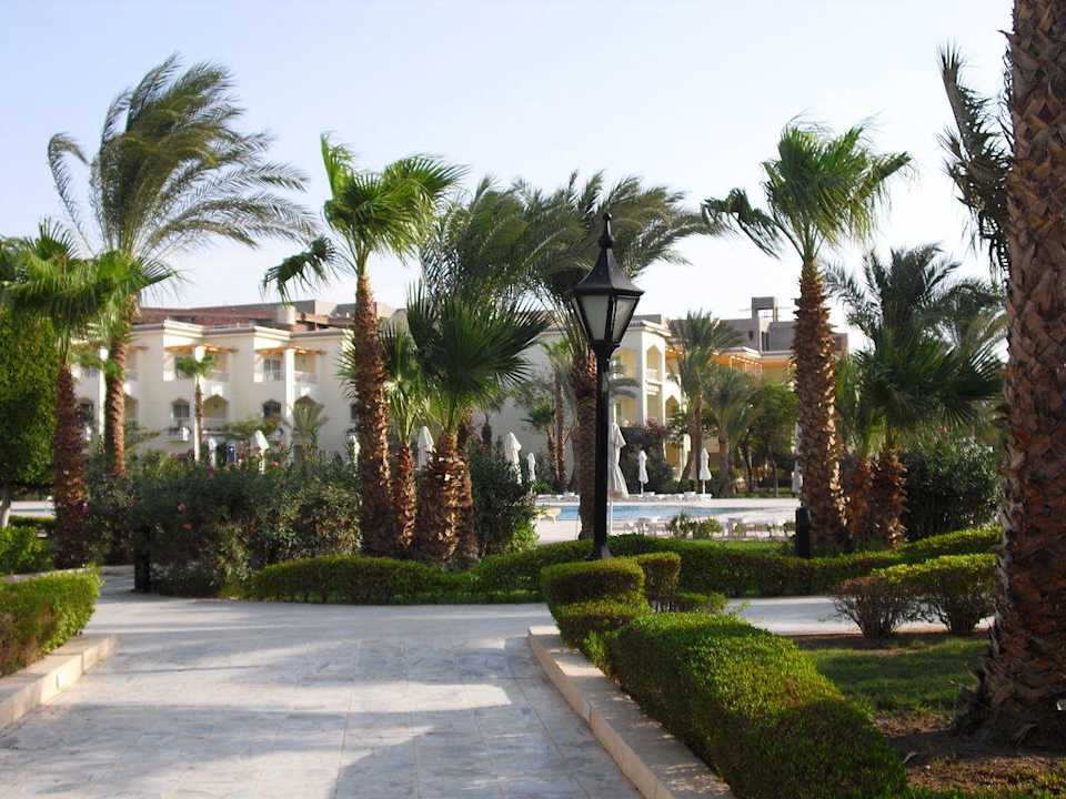 Palmen ohne Ende The Grand Hotel Hurghada