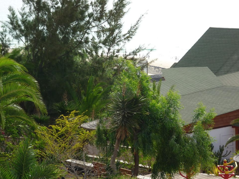 Blick auf den Badestrand Marina Playa Suite Hotel