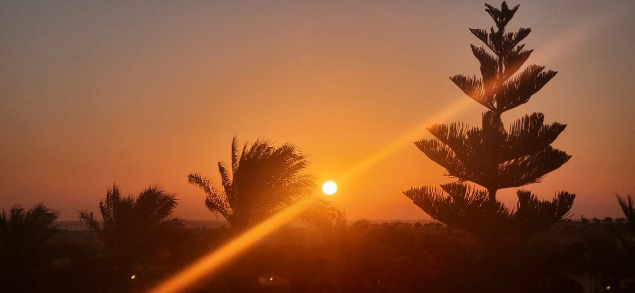 Ausblick Steigenberger Makadi Hotel - Adults only