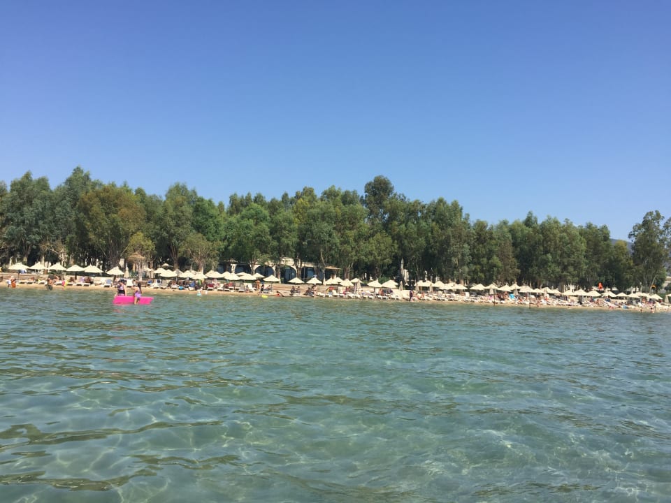 Strand Asteria Venus Didim