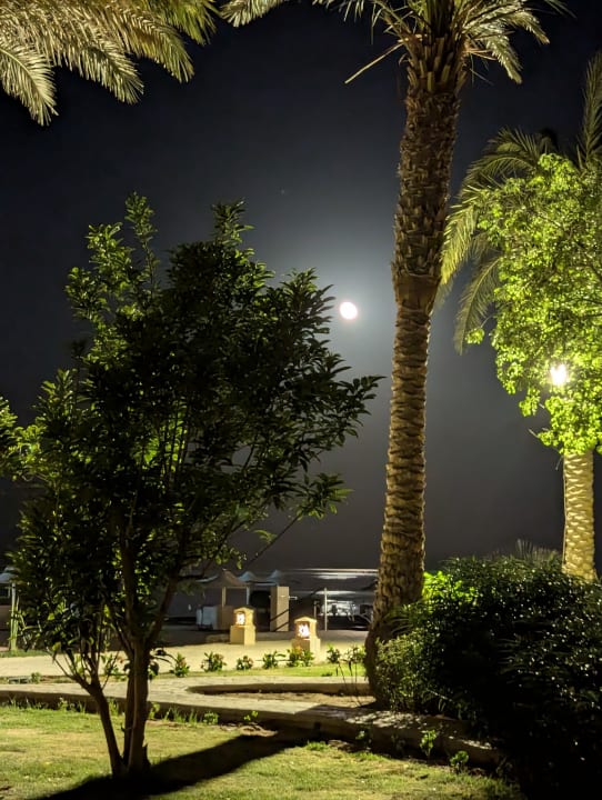 Gartenanlage Shams Alam Beach Resort