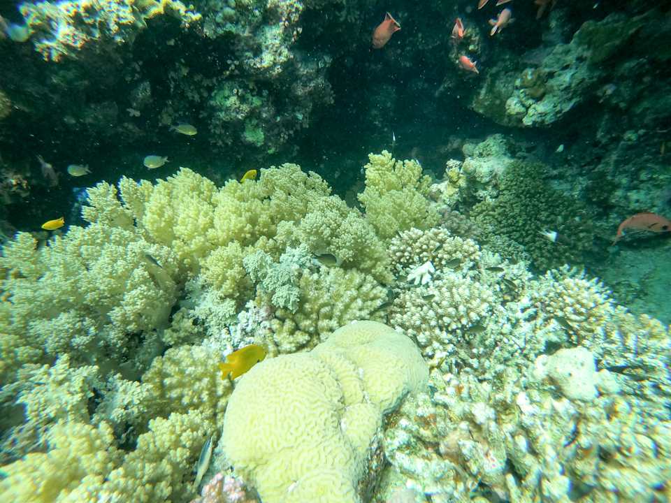 Strand Imperial Shams Abu Soma