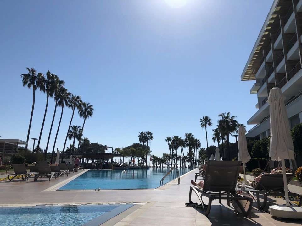 Pool Acanthus Cennet Barut Collection