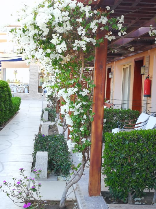 Gartenanlage Shams Prestige Abu Soma-Adults Only