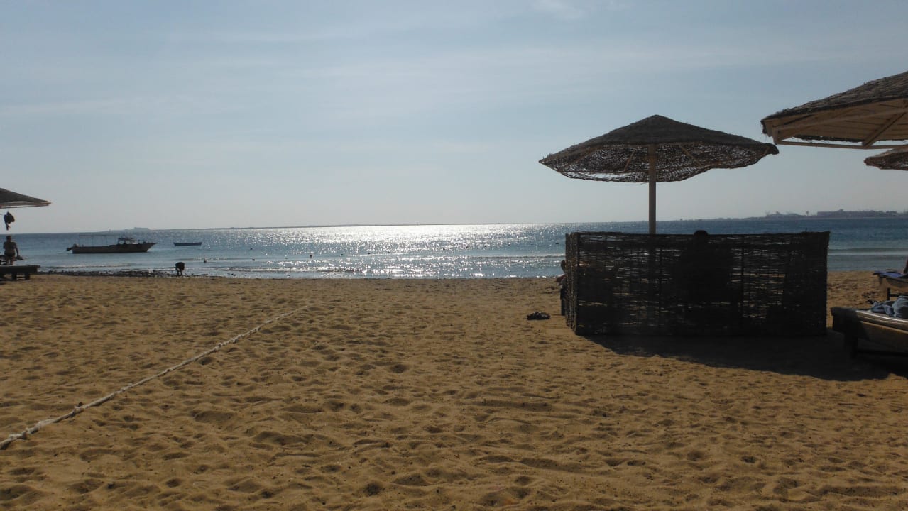 Der wunderschöne Strand Eagles Paradise Abu Soma