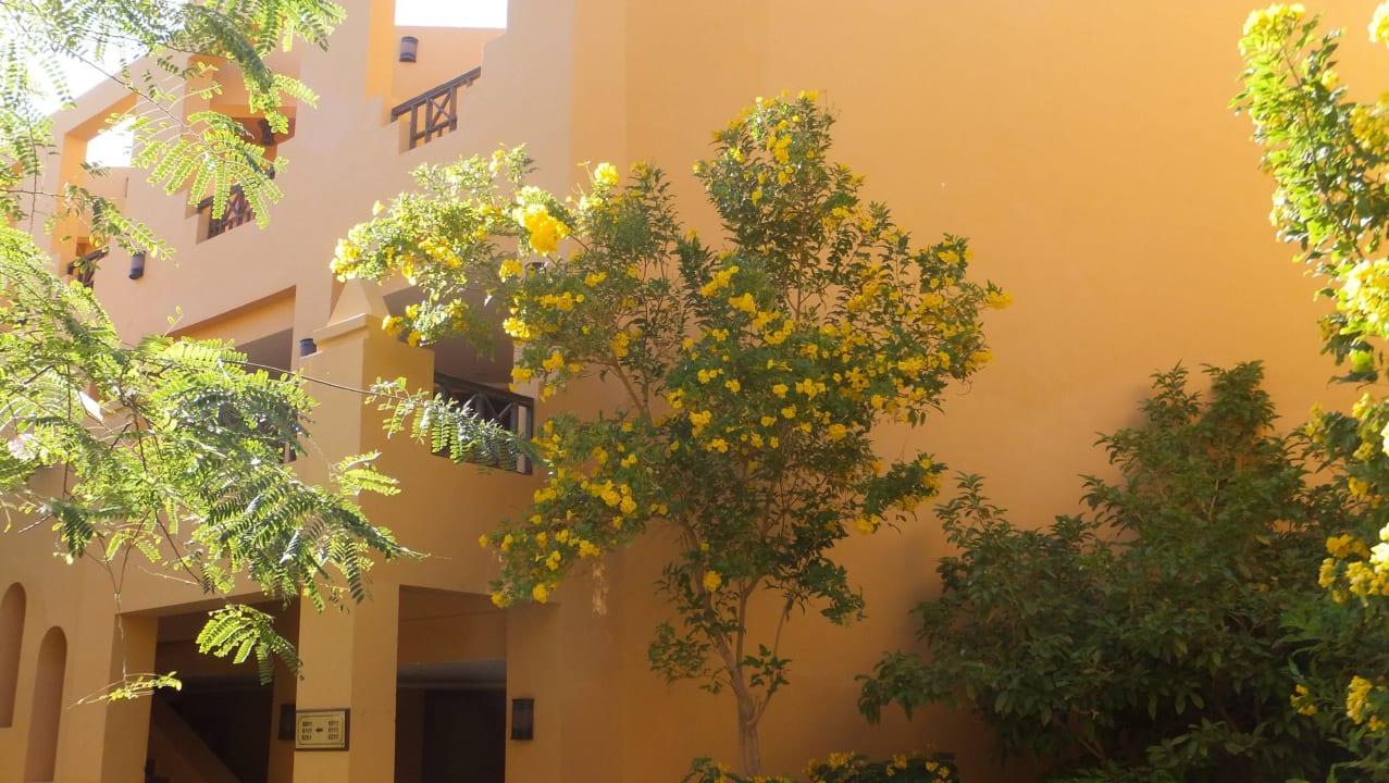 Sehr gepflegte saubere Anlage Stella Beach Resort & Spa Makadi Bay