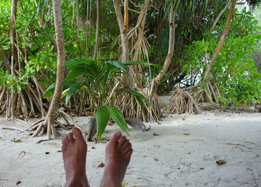 Strand Palm Beach Resort & Spa Maldives