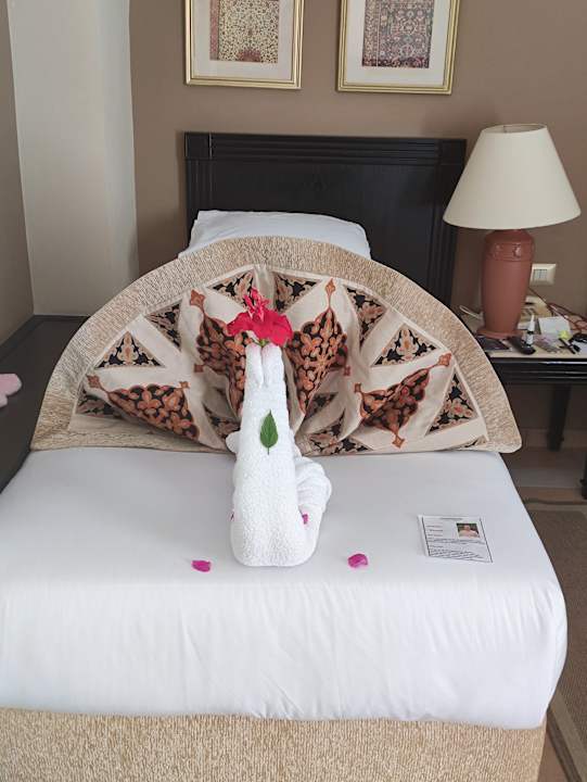 Zimmer Steigenberger Coraya Beach - Adults only