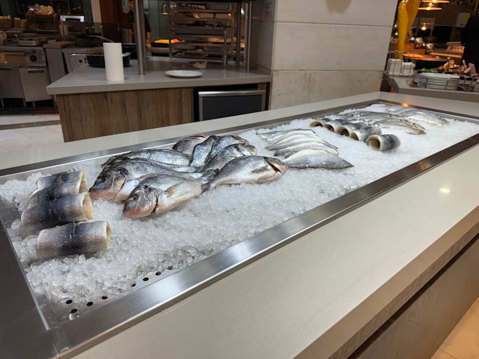 Gastro Sidemarin Kirman Premium