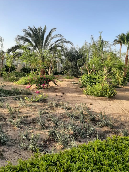 Gartenanlage Cleopatra Luxury Resort Makadi Bay
