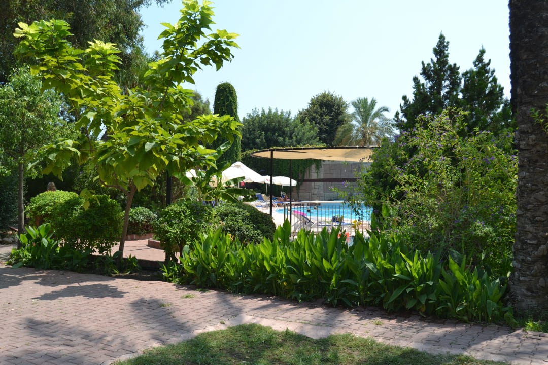 Вид на бассейн с территории Armas Gül Beach