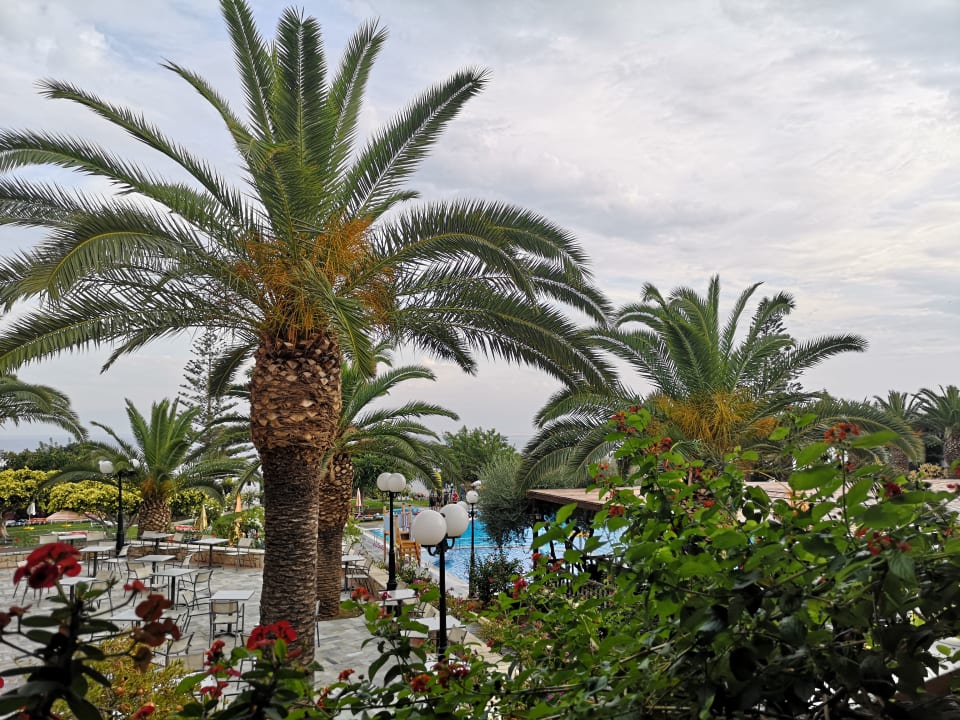 Ausblick TUI SUNEO Chrissi Amoudia