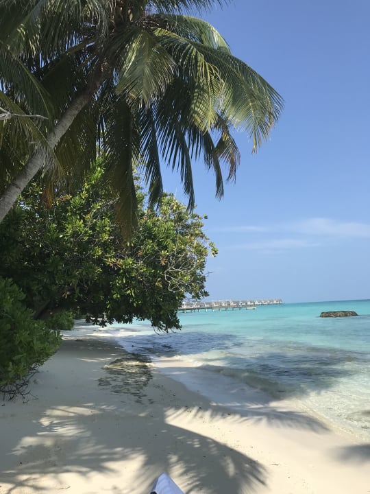 Strand Kuramathi Maldives