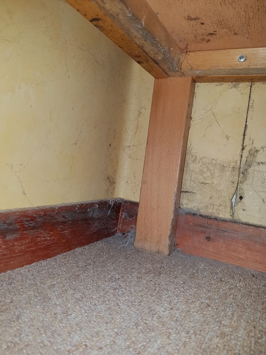 Zimmer Center Parcs De Vossemeren